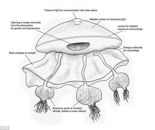 ר�ҳ������˿���ˮĸ����������