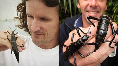 ���ţ��ĵ�����������ġ�����Ϻ����ͼ��