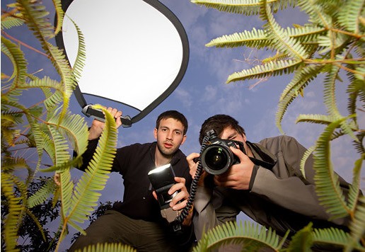 ��֪����ô��Ұ��������д�漯�𣿣�ͼ��