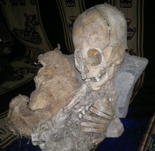 ��³��ͷ��ʬ�����������Ź� ��Ȥ����