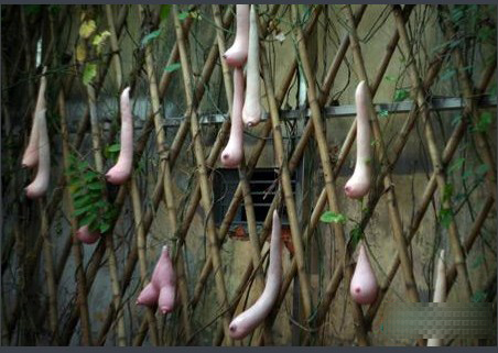 ��������Խ�����������𣿣���ͼ��