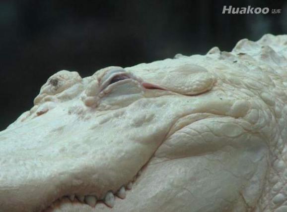 ������ͼ ˲�䱻��Ϲ��