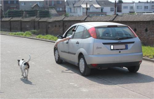 �����������˲���׽�� ��ЦͼƬЦ����