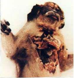 ���أ��Ҳ��̶õĶ���ʵ�����Ƭ��ͼ��