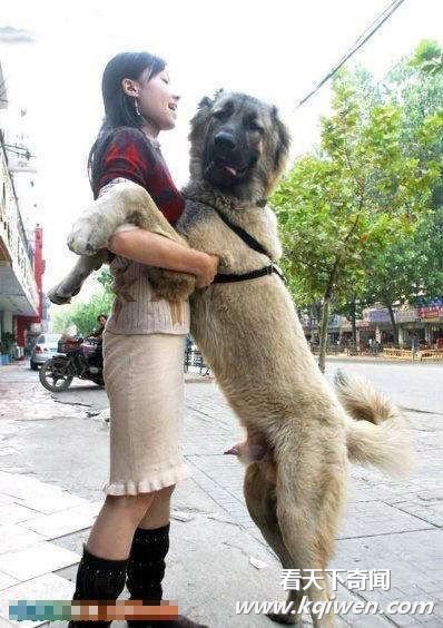 �������󵨵�ɫ������Ĺ����ֵ��ڷ���Ů��