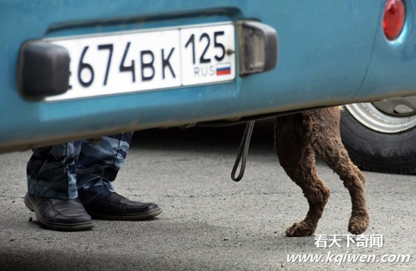 ʵ�Ķ�����Ȥ˲�䣬�ȷ���