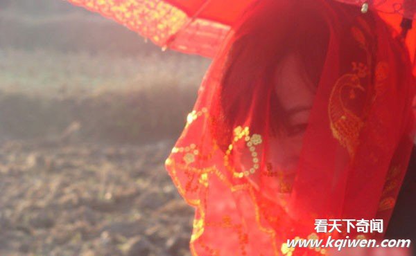 ��ʶ��ũ���ʱ�ж����� ɫ��������������(��ͼ)