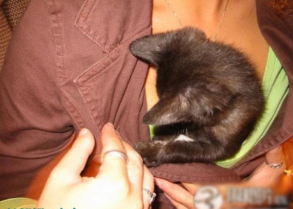 ��Ů������������ĳ����˹���ͼ�� ������ذ�(��ͼ)