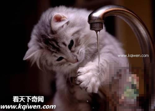 ��Ϊ���ޣ��ҵ�ѹ��Ҳ�ܴ�