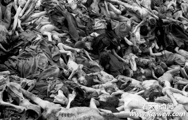 �ҿ���սʱ�¹��ɴ����˷�ָ�ı��� ����Ӫʬ����(��ͼ)