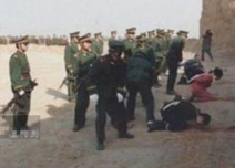 ǹ�����̷��ֳ���Ƭ�������й���������ִ��ȫ����(�ֲ���ͼ32P)